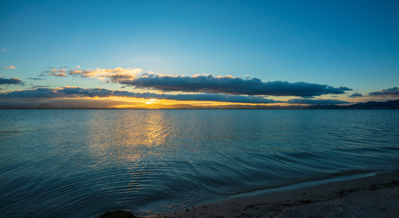 <br />
<b>Warning</b>:  Undefined variable $subfield in <b>/home/revision104/eni-naru.com/public_html/wp-content/themes/thema/front-page.php</b> on line <b>299</b><br />
<br />
<b>Warning</b>:  Trying to access array offset on null in <b>/home/revision104/eni-naru.com/public_html/wp-content/themes/thema/front-page.php</b> on line <b>299</b><br />
